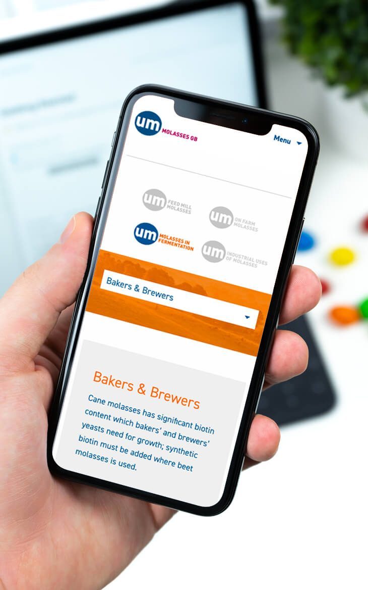 Resposnive website design unitedmolasses